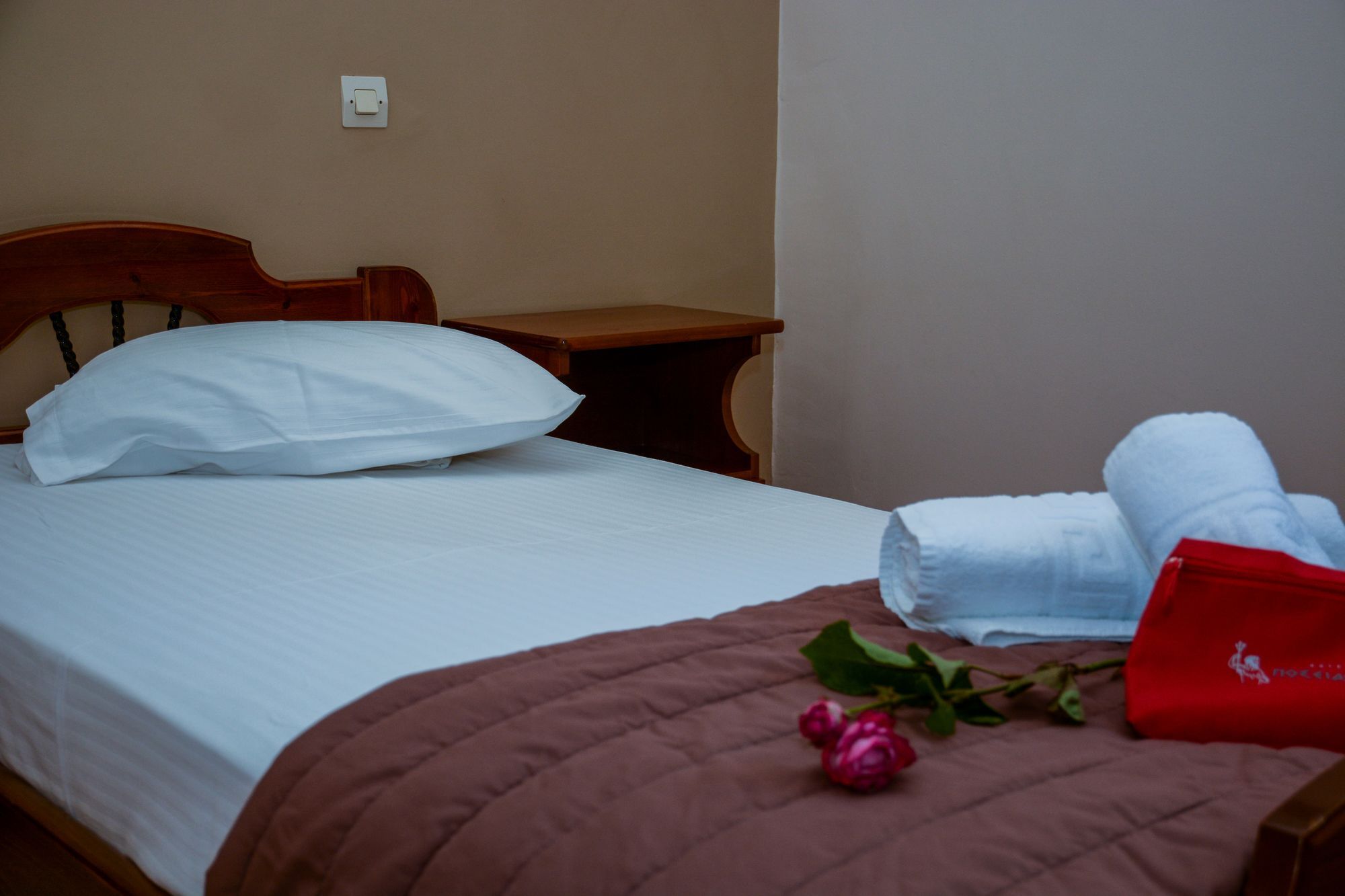 Poseidonio Hotel Tínos Extérieur photo